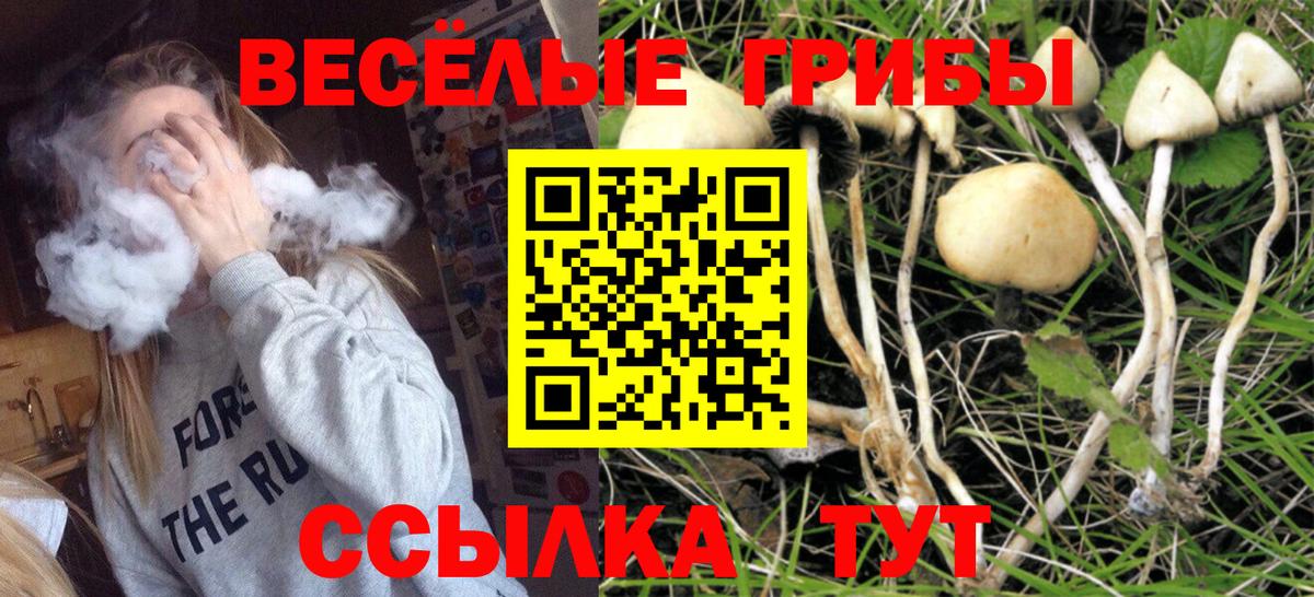 Псилоцибиновые грибы ЛСД Кимры